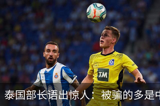 泰国部长语出惊人：被骗的多是中国人，是受害者自己贪心