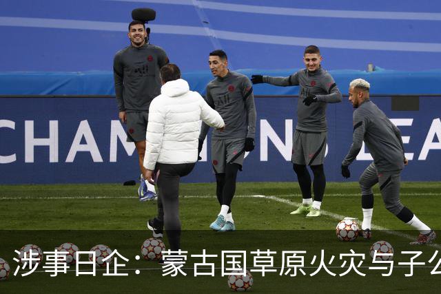 涉事日企：蒙古国草原火灾与子公司高管活动有关